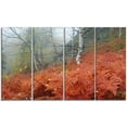 thumbnail image 2 of Red Fern in Foggy Fall Fay, 2 of 3