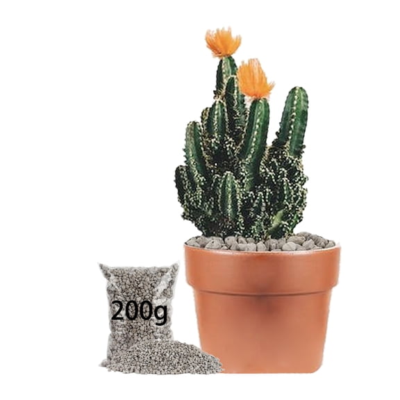 NOGIS Horticultural Pumice Stone - Pumice Stone for Plants Succulent Cactus Bonsai Orchid Soil Amendment 200g