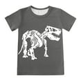 thumbnail image 3 of shoper Toddler Summer Clothes Boys 2t Dinosaur Print Crew Neck Breathable Short Sleeve T-Shirt Tops and Shorts Cute Shorts Set Kids' Two-Piece Sets Grey 140, 3 of 4