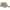 Khaki, variant on Port Authority Adult Unisex Regular Plain Cap White One Size Fits All