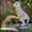 Grey Dog With Steady Light, variant on Garden Statue Water-sprinking Rabbit Resin Outdoor Decor