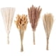 thumbnail image 1 of Ramo de 100 piezas de hierba de pampa seca para decoración, compatible con bodas, fiestas, decoración bohemia, 1 of 5