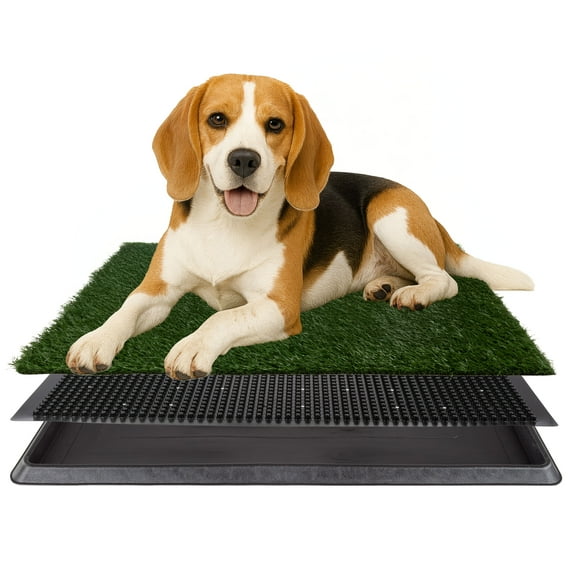 Artificial Grass Puppy Pad for Dogs and Small Pets ? Reusable Potty Training Pad with Tray ? Dog Housebreaking Supplies by PETMAKER (20 x 25)