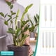 thumbnail image 1 of Fiudx Poste de Musgo de Plástico para Plantas Trepadoras, Diseño Rellenable, Extensión de Altura Apilable, Soporte para Monstera y Pothos, Cuidado de Plantas de Interior, Paquete de 4 con Tapón de Ti, 1 of 7