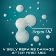 thumbnail image 4 of OGX Renewing + Argan Oil of Morocco Repairing Shampoo, 3 fl. oz, 4 of 8