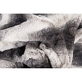 thumbnail image 2 of Luxe Home Decor Classic Faux Fur Throw | 1-Piece | Irving charcoal/white  | 50x60 In, 2 of 5