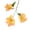 Orange, variant on Riguas Artificial Lily Flower 3 Heads Full Bloom Faux Lily Branch with Leaves Real Touch Fake Lilium Flower for DIY Wedding Bouquet Floral Arrangement