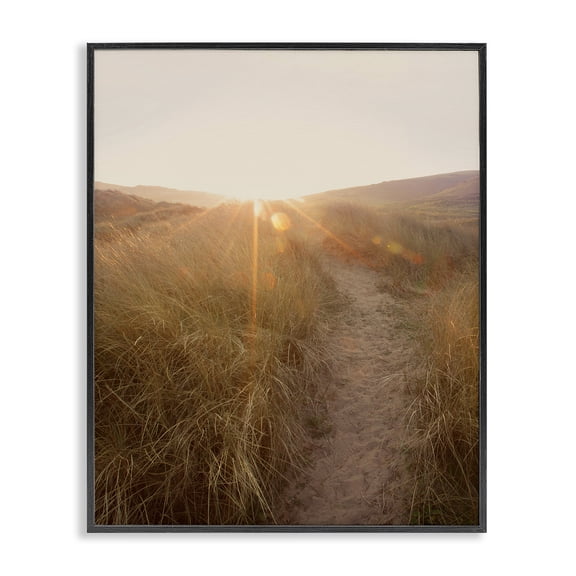 Stupell Industries Cottage Sunrays Through Sun Bleached Sand Dunes Tall Grass Black Framed Giclee Art, 11 x 14, by Ian Winstanley