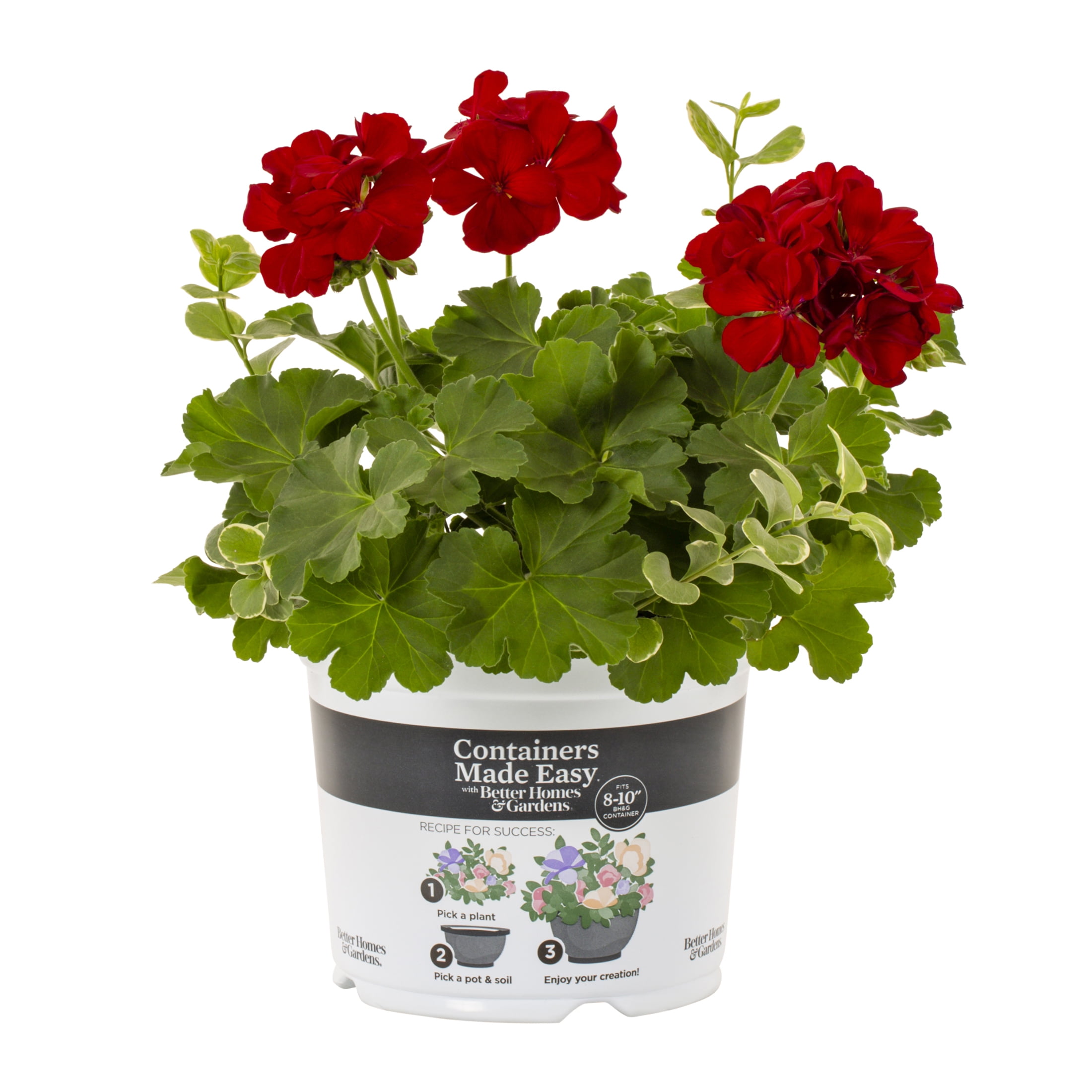 Better Homes & Gardens 3QT Red Geranium Vinca Live Annual