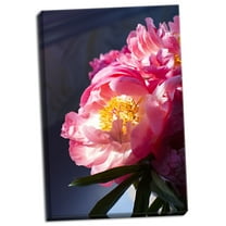 Gango Home Decor Contemporary Pink Floral Bloom by Karyn Millet (Ready to Hang); One 16x24in Hand-Stretched Canvas