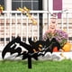 thumbnail image 3 of Decoraciones de Halloween, adornos de Halloween, regalos de Halloween, decoración de terror de Halloween, decoración colgante de pared, complemento para patio y jardín., 3 of 4