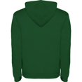thumbnail image 2 of Roly Chandail à Capuchon Urbain pour Hommes, 2 of 4