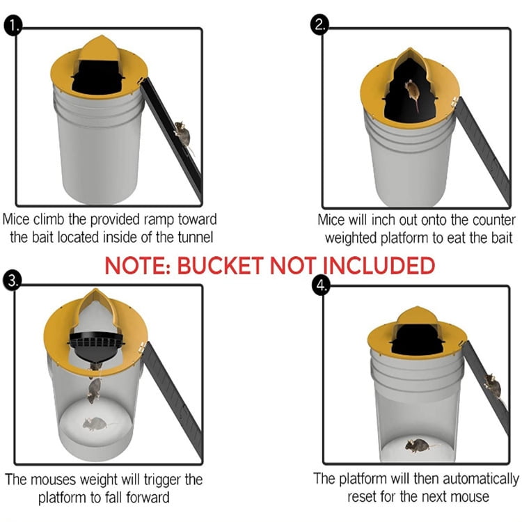 Homemade Mouse Trap - Humane Bucket Trap