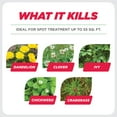 thumbnail image 2 of Earth's Ally Weed and Grass Killer 24 oz Ready-to-Use Natural Herbicide for Organic Gardens, 2 of 7
