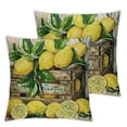 thumbnail image 2 of Awypu Spring Summer Magnolia Lemon Pillow Cover Set of 2,Golden Yellow White Stripe Floral Throw Pillow Cover Farmhouse Lemon Slice Juice Decor for Home Outdoor Sofa Couch White, 2 of 6