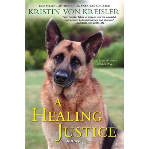 Pre-Owned A Healing Justice (Paperback) 1496700457 9781496700452