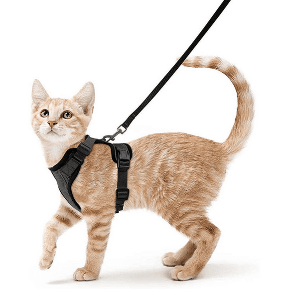 Cat Harness Small Dog Leash Adjustable Kitten Harness Black S Collar Reflective Cat Harness Breathable Vest for Rabbit, European Cat, Maine Coon, Persian, Clip on with Leash，JUN