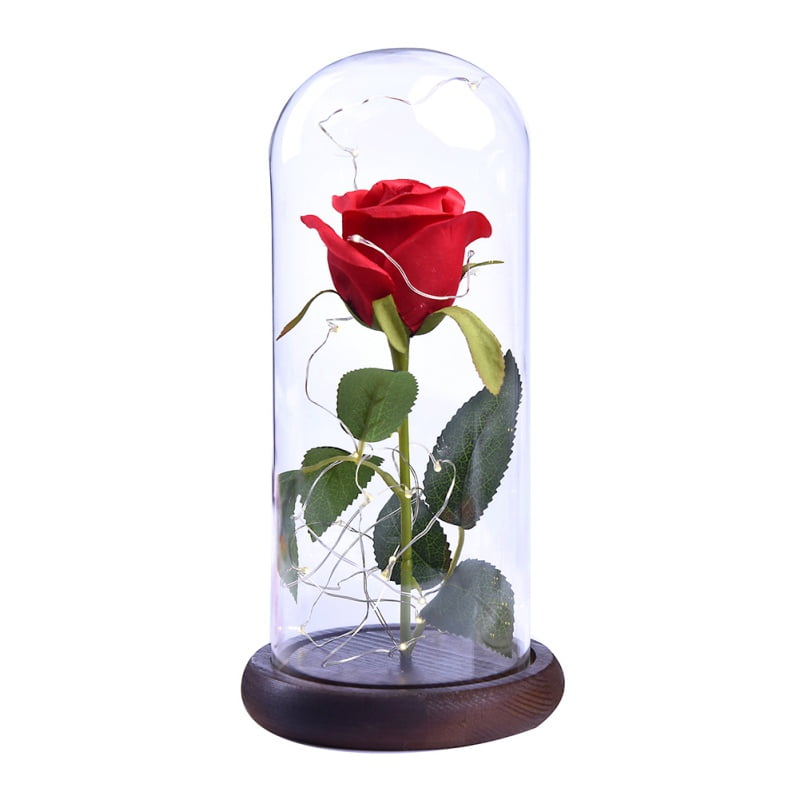 Beauty and The Beast Red Rose In a Glass Lamp Dome Valentine LED Lighted Gift US 