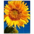thumbnail image 1 of Picture-Tiles.com: Flowers Ceramic Tile Wall Mural WAL500638-45S. 17"W x 21.25"H using (20) 4.25" x 4.25" Ceramic Tiles-Satin Finish, 1 of 3