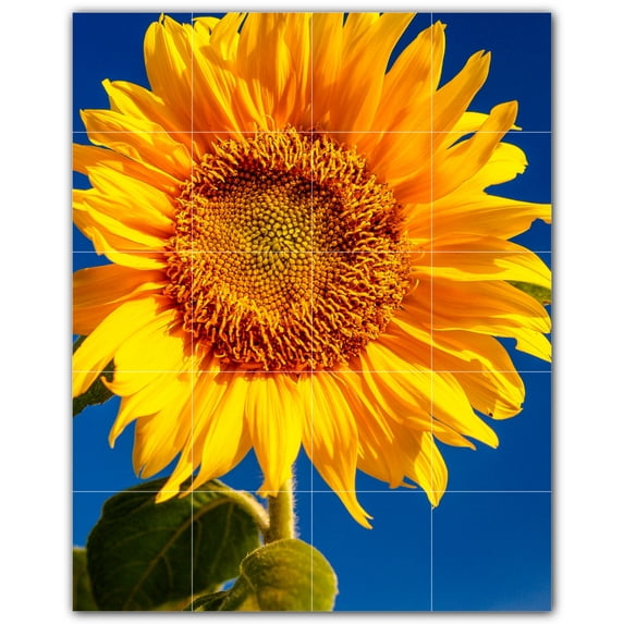 Picture-Tiles.com: Flowers Ceramic Tile Wall Mural WAL500638-45S. 17"W x 21.25"H using (20) 4.25" x 4.25" Ceramic Tiles-Satin Finish