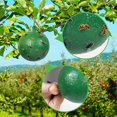 thumbnail image 3 of Uds. Trampa colgante para moscas de la fruta, trampa para moscas, atrapamoscas para jardín al aire libre y hogar, 3 of 5