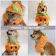thumbnail image 4 of KAKOWELY Ropa de Halloween para perros y gatos, estilo calabaza, para perros, para fiestas, 4 of 5