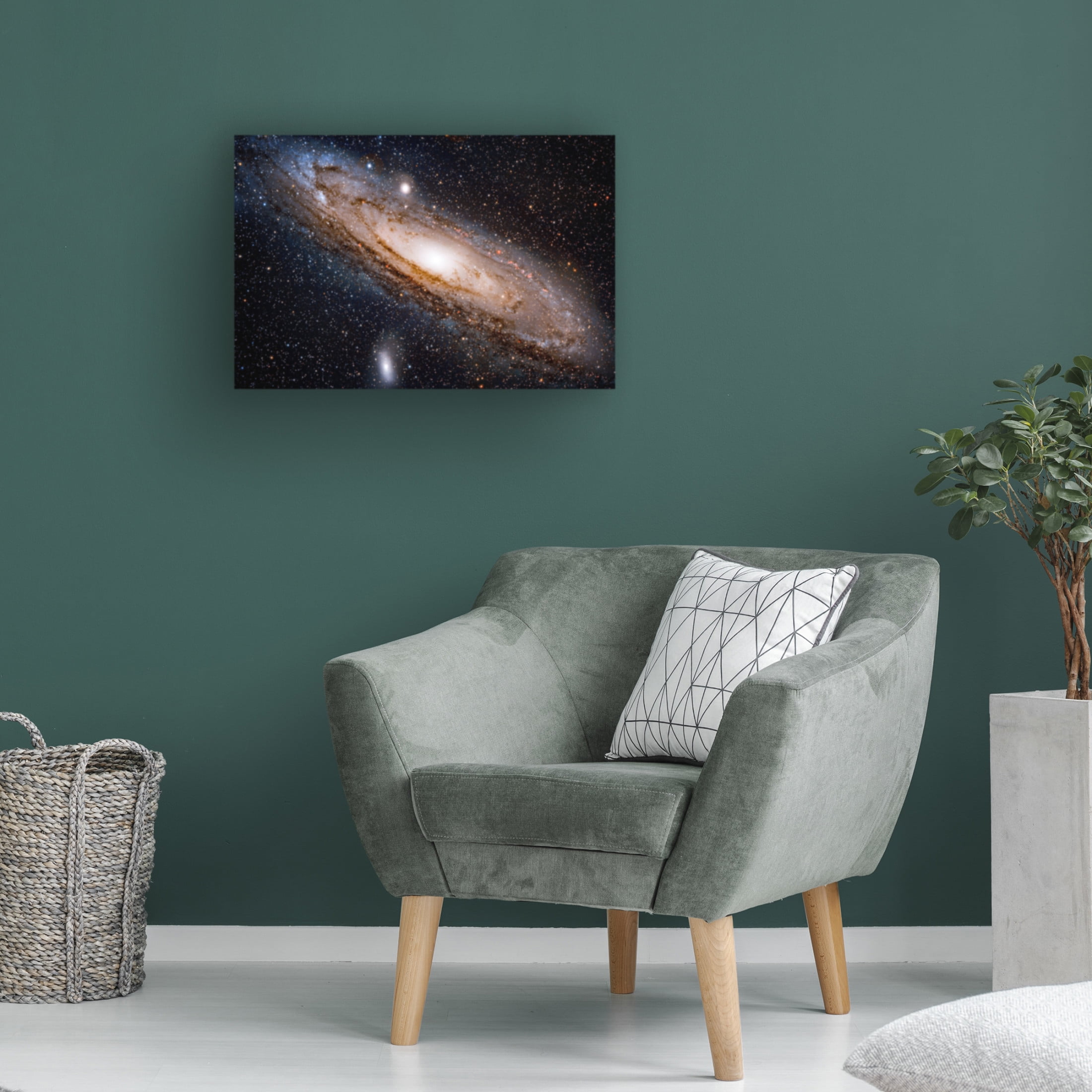 Trademark Fine Art David Dayag Andromeda Galaxy Canvas Wall Art