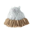 thumbnail image 1 of 300 Pieces Price Tags Writable Blank Marking Tags 1.02 x 0.47 Inch Rectangle Jewelry Labels Kraft Display Tags, 1 of 1