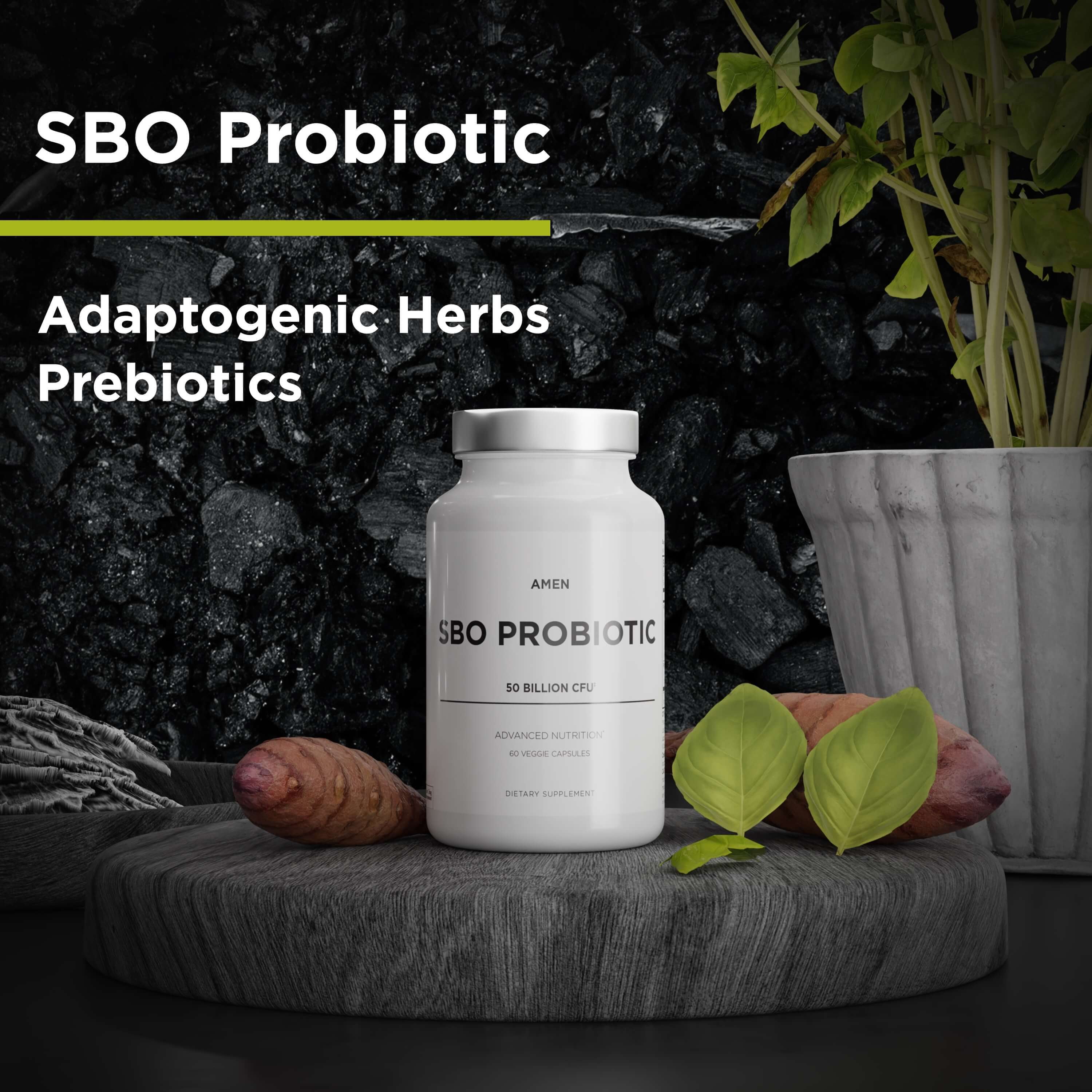 Amen SBO Probiotic, 50 Billion CFUs, Organic Prebiotics, Shelf Stable, Vegan & Non-GMO, 60 ct