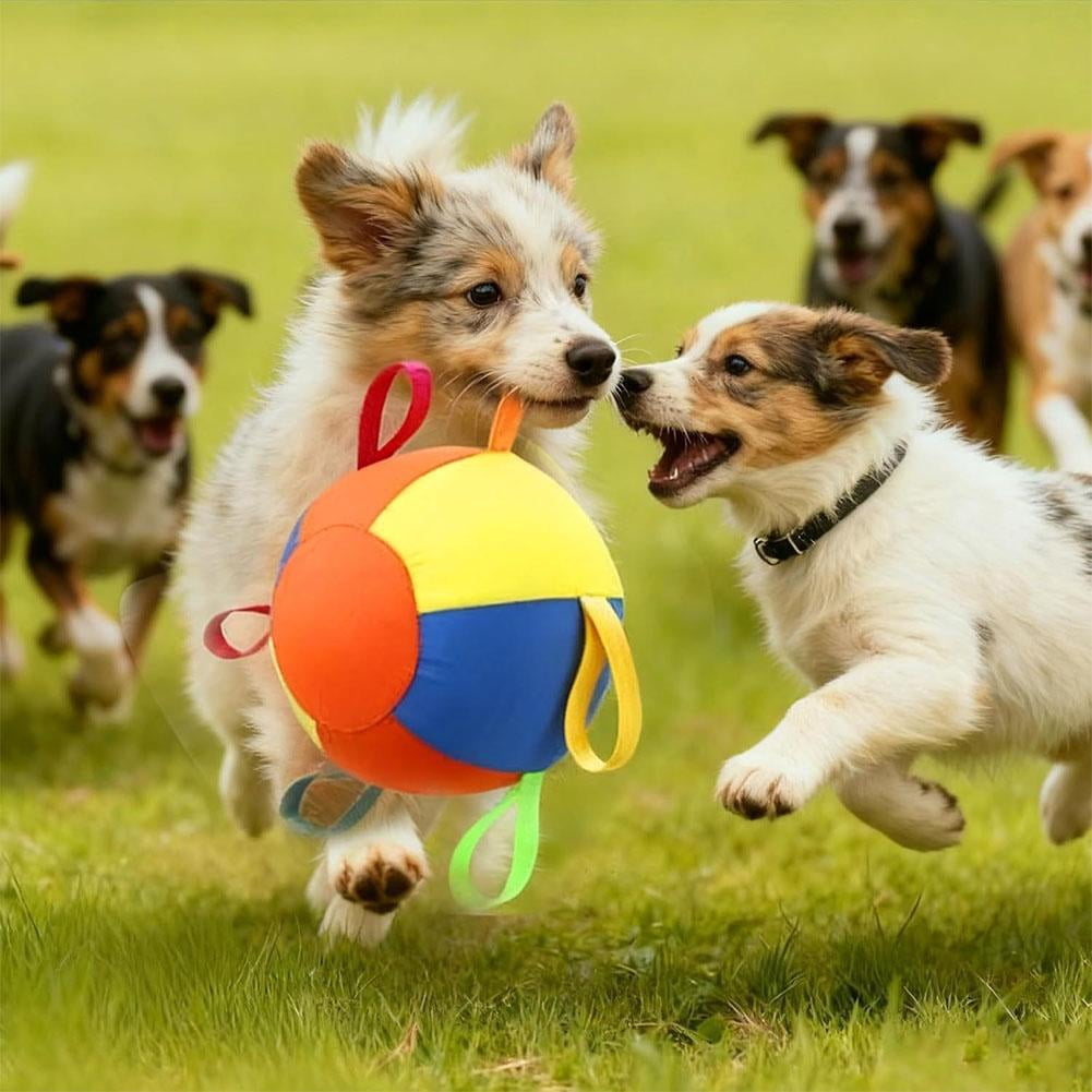 Dog Toy Ball with Straps, 9.84'' High-Bounce Fetch Ball for Small Medium Large Dogs, Interactive Pet Play Toy for Indoor Outdoor Training