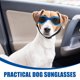 thumbnail image 3 of EXHUMKY Gafas Plegables Para Perros Y Pequeños Con Protección Uv Y Cómodo Para Exteriores, 3 of 6