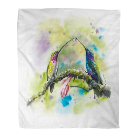 SIDONKU Throw Blanket Warm Cozy Print Flannel Humming Birds on Branch Flowers Wildlife Scene Pattern Two Watercolor Comfortable Soft for Bed Sofa and Couch 58x80 Inches