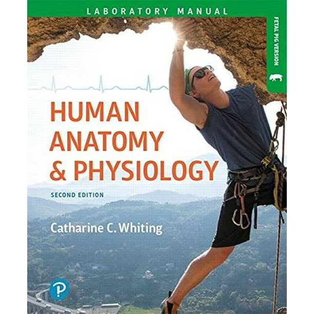 Human Anatomy & Physiology Laboratory Manual Making Connections, Fetal