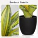 thumbnail image 2 of Planta artificial Briful Snake de 28,5 cm con maceta negra, 2 of 6