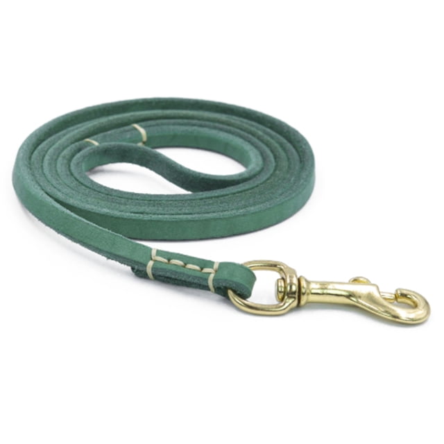 Laisse pour Chien en Cuir - Idéal pour l'Entraînement