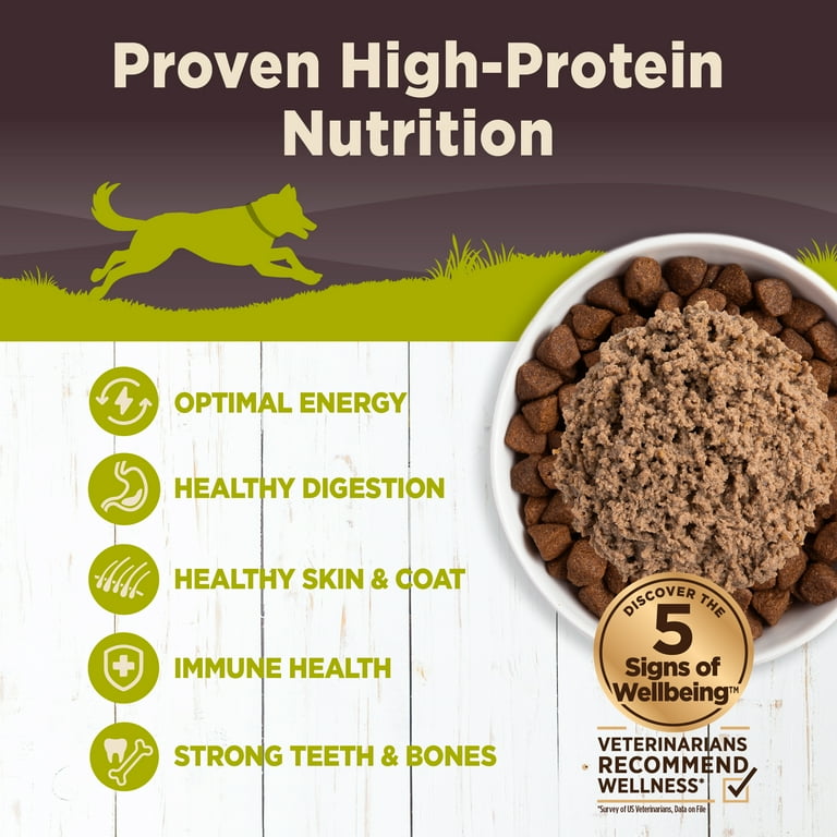 Grain free weight loss dog food hot sale