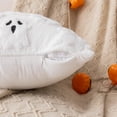 thumbnail image 3 of Halloween White Scare Ghost Throw Pillow Covers 18x18 inch Set of 2, Cute Skeleton Pillowcases Holiday Cushions Covers for Halloween Decorations Indoor Home Sofa Scare Couch, 3 of 6