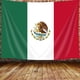thumbnail image 3 of Tapiz Colgante de Pared con Bandera Mexicana DYNH 152x102 cm, 3 of 3