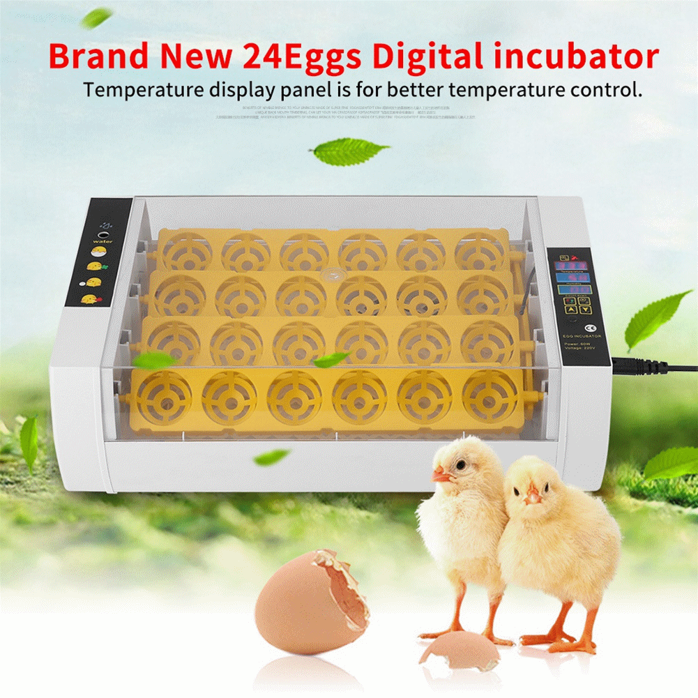 Brrnoo Egg Incubator With Automatic Egg Turning And Humidity Control