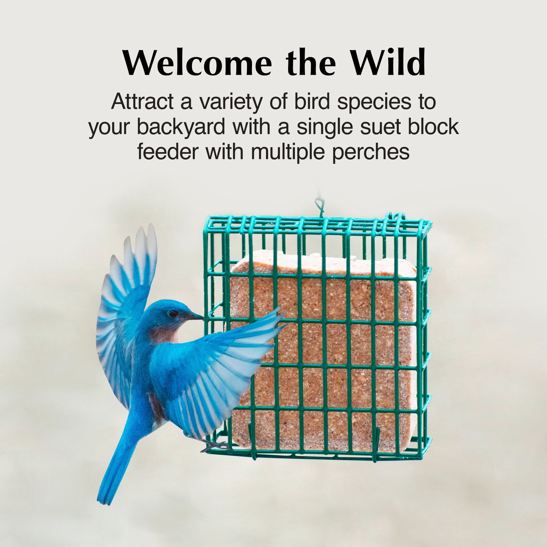 (2 pack) C&S EZ Fill Suet Basket, for Wild Bird Suet Cakes, 2" x 5.25" x 5.25"