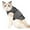 Gray, variant on Cat Anxiety Calming Wrap，Cat Anxiety Jacket Calming Vest for Travel, Separation,Thunder Frightened Relief Vet Solution Shirt for Keeping Cats Calming Jacket