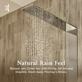 thumbnail image 4 of Eviva Raindance Thermostatic Massage -Jet Shower Tower System in Brushed silver finish, 4 of 7