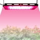 thumbnail image 2 of Lámpara LED para plantas de 50W, foco de espectro completo, luz para plantas, lámpara de crecimiento para invernadero, 2 of 6