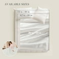 thumbnail image 5 of GONUES Heated Throw Blanket 50"x 60" Soft Warm Flannel Fast Heating Blanket, 4 Fast Heating Levels & 3H Auto off-White, 5 of 6