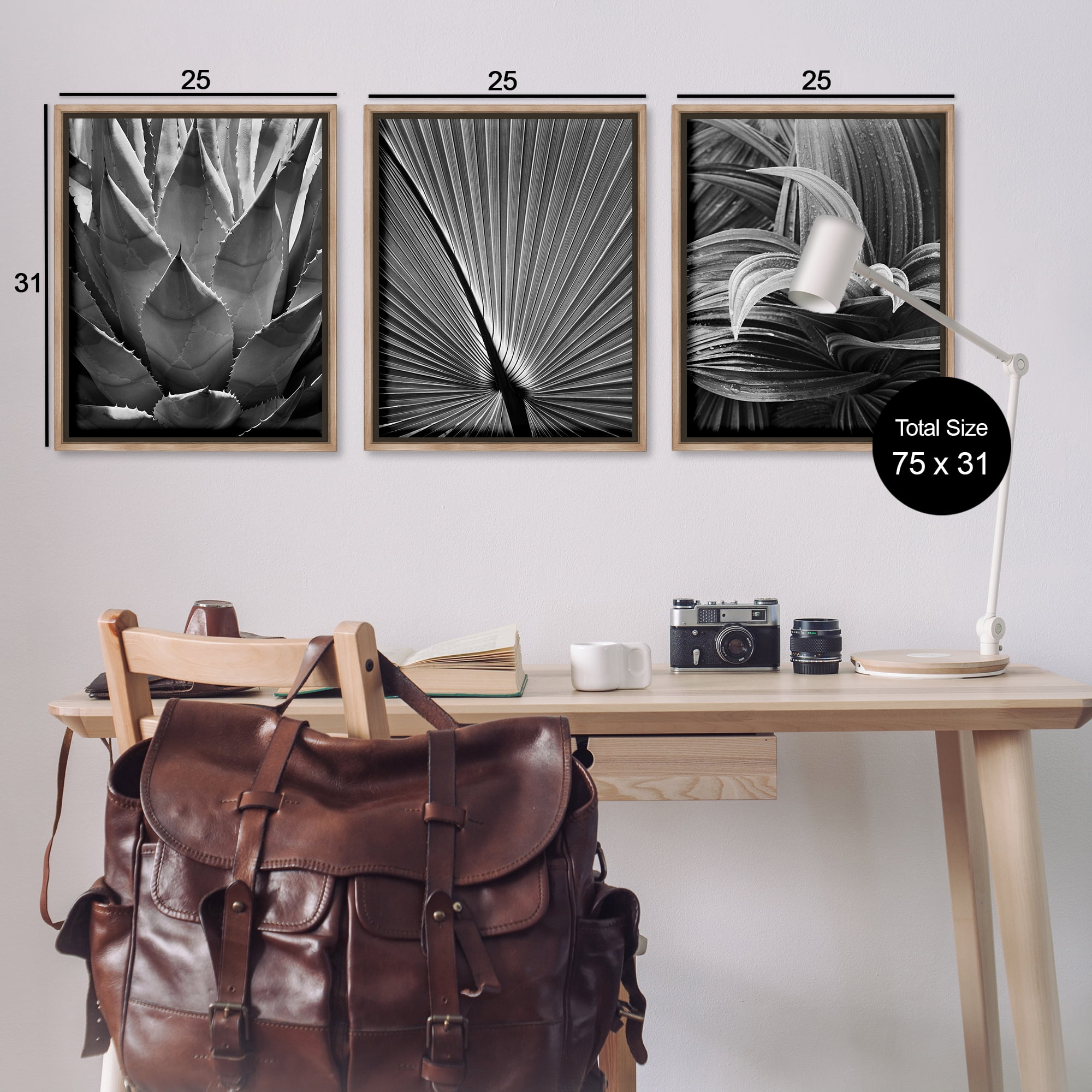Stupell Industries Palm Frond Details Plants & Flowers Photography Brown Floater Framed Canvas Art Print Wall Art, 25 x 31, Set of 3