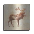 thumbnail image 1 of Luxe Metal Art 'Elk Study v2' by Studio Mousseau, Metal Wall Art, 24"x24", 1 of 7