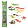 thumbnail image 5 of Kaplan Early Learning Company Back to Back Learning Kit - Incredible Insects, 5 of 7