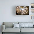 thumbnail image 2 of Canvas Wall Art - Hakime Kucuk 'Forest' Wall Art for Living Room, Bedroom, or Office Décor by Trademark Fine Art - 32 x 22 Inches, 2 of 4