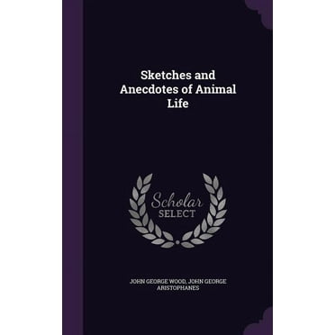 Sketches and Anecdotes of Animal Life (Hardcover)