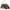 Cow Print-Brown, variant on Wrangler 3Pcs Doctor Bag Sets for Women Top-Handle Satchel Bag with Cell Phone Handbags & Coin Purse